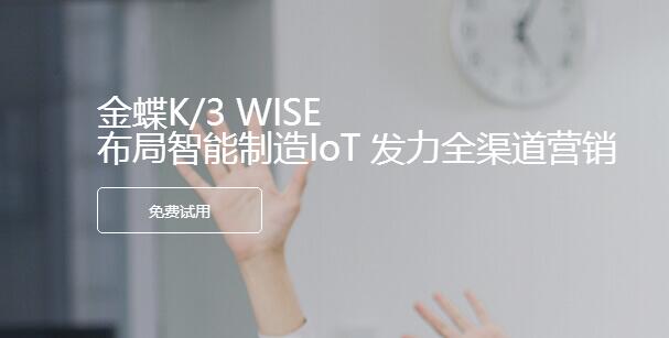 <b>金蝶K3WISE（标准ERP集成平台）</b>
